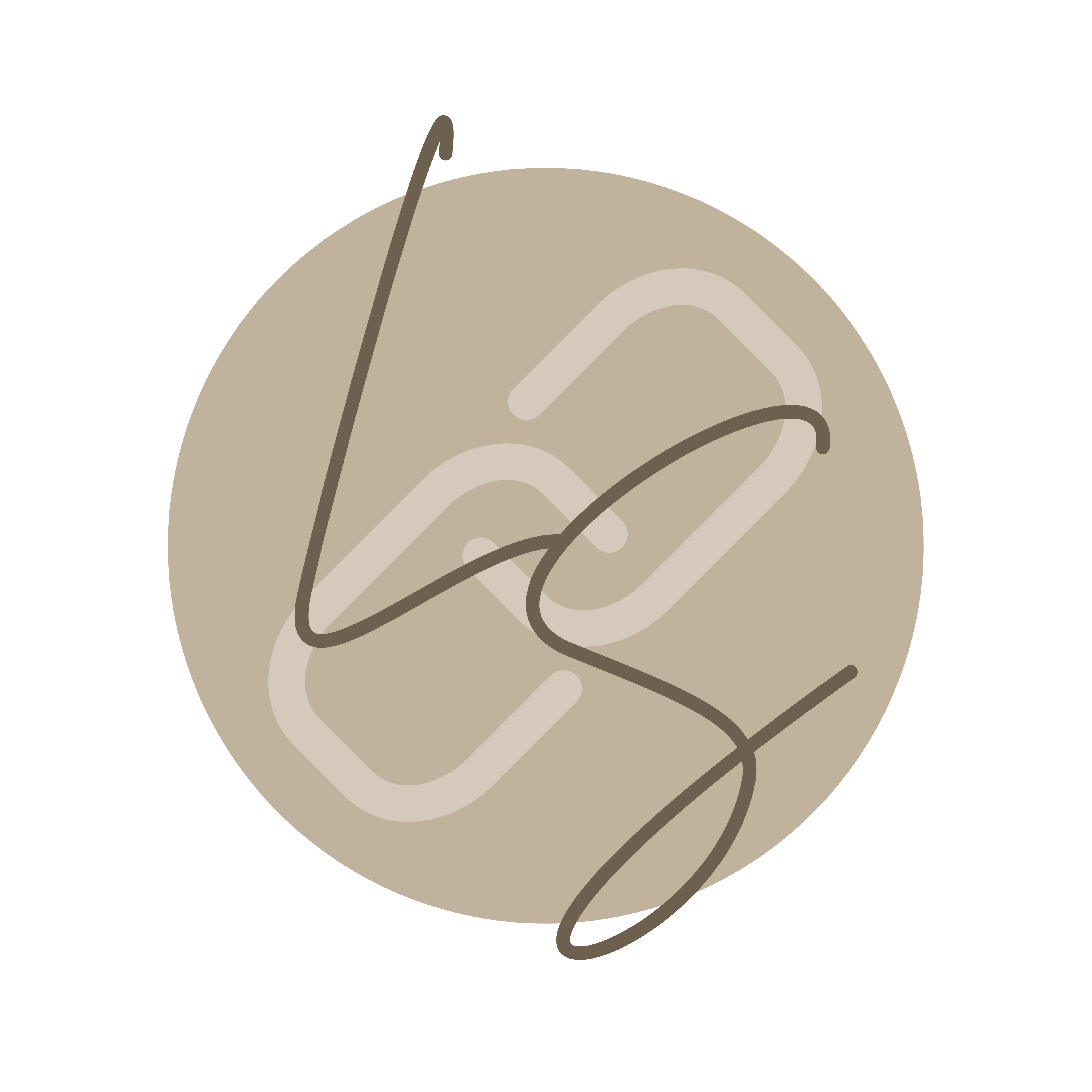 Link Social Logo (square) transparent